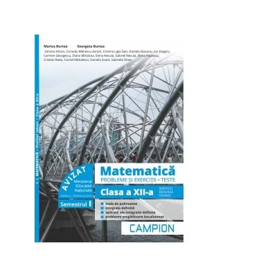 Matematica Probleme Si Exercitii Teste Clasa A Xii A Semestrul I