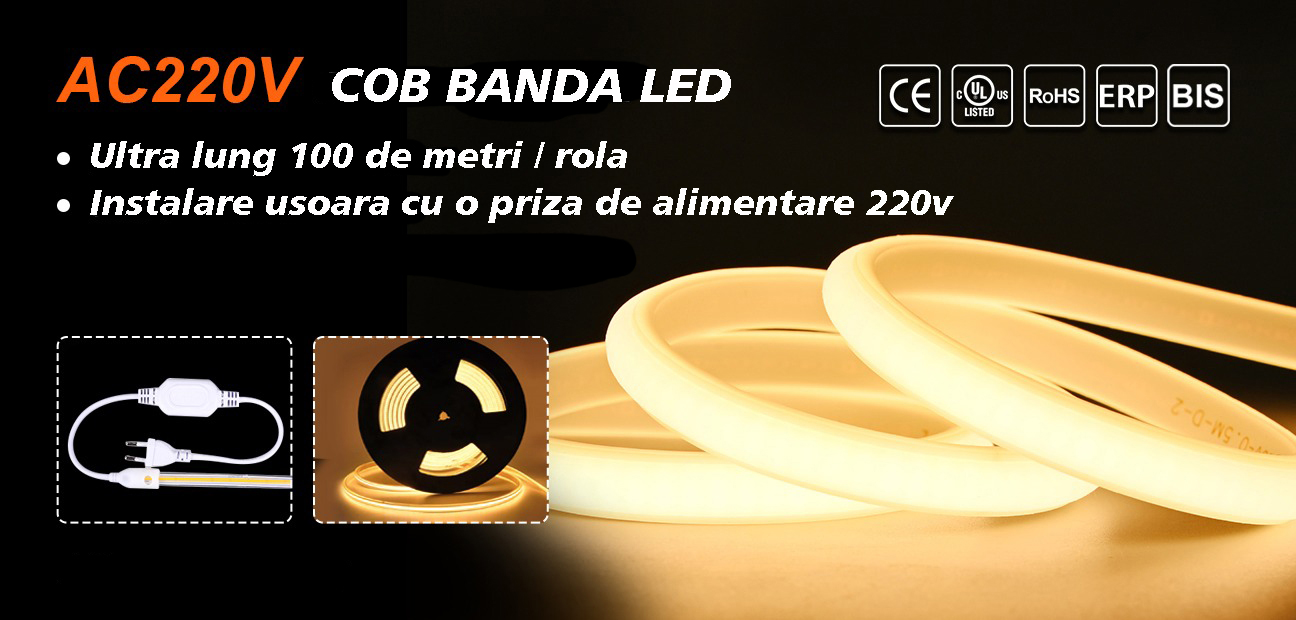 Banda Led V