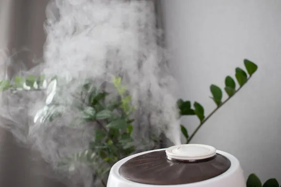 Alegerea Perfecta a unui Odorizant Profesional pentru Casa Ta sau Birou