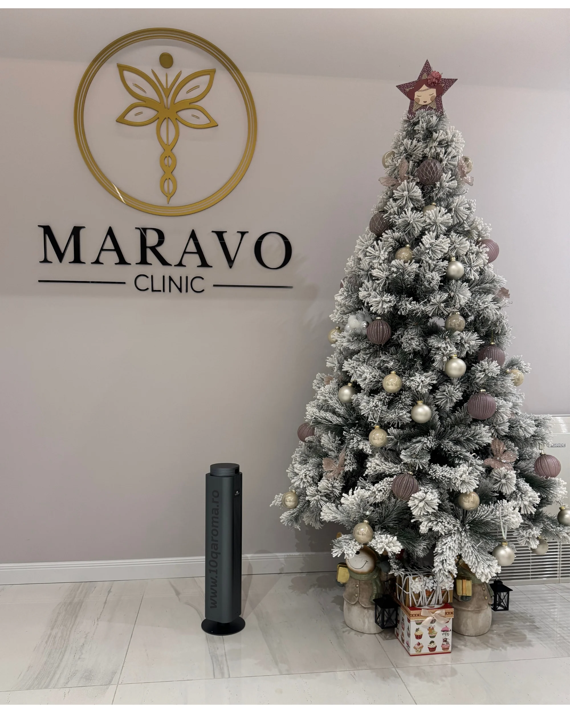 Parfumare ambientala profesionala