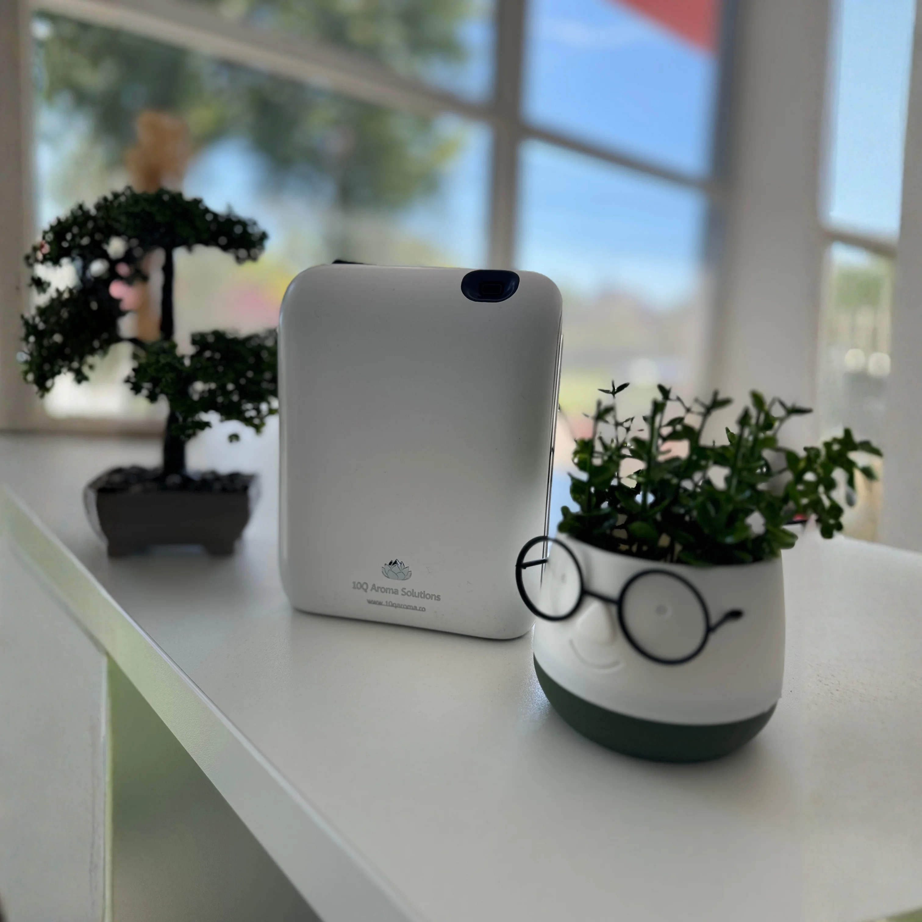 Parfumare ambientala profesionala intr-o receptie