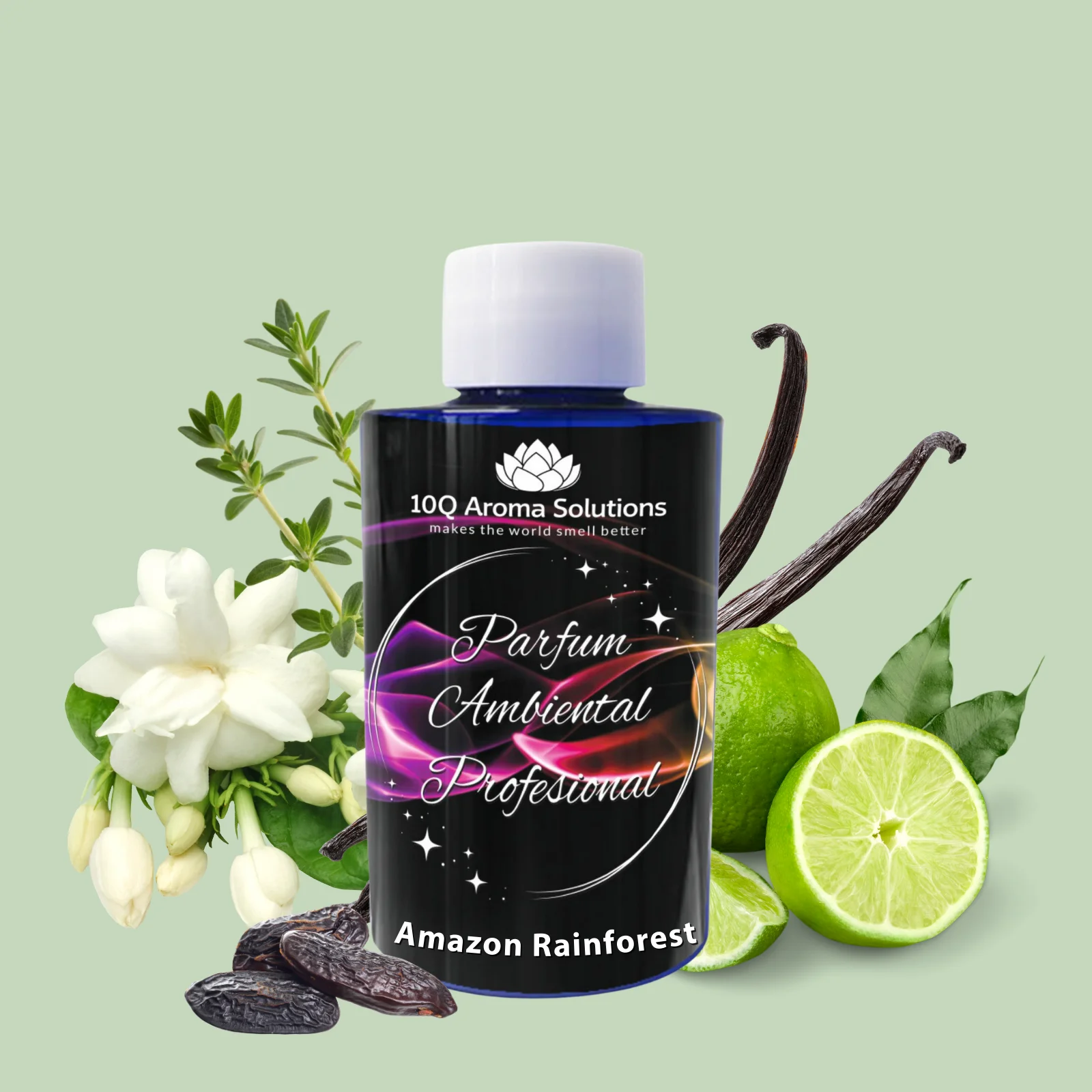 Amazon Rainforest [2]