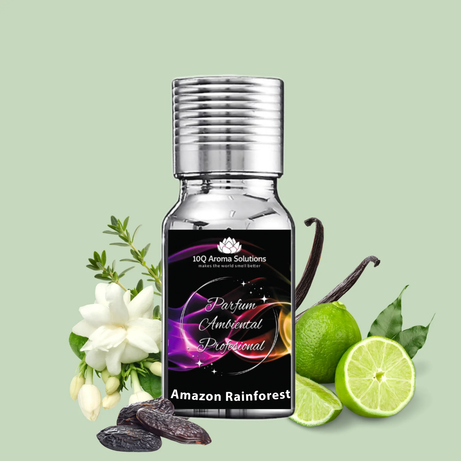 Amazon Rainforest [2]