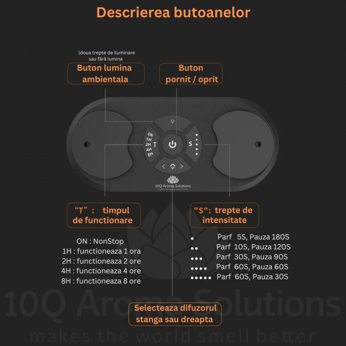10Q AromaLux Dual [3]