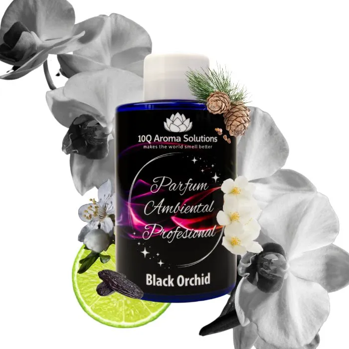 Black Orchid - type