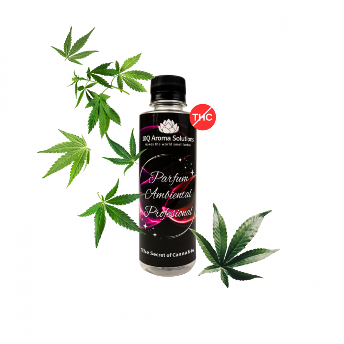 The Secret of Cannabis - Esenta parfum ambiental
