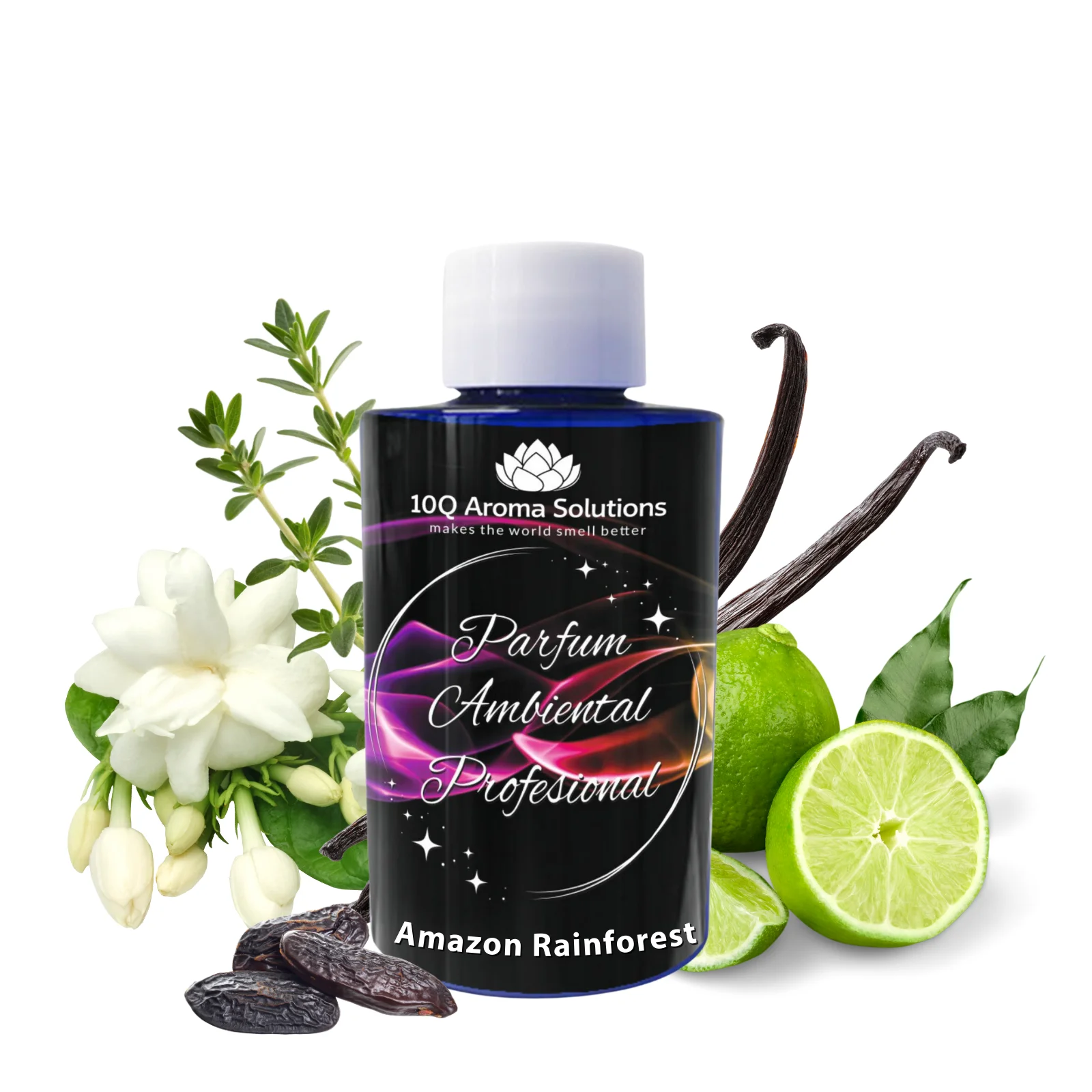 Amazon Rainforest [0]