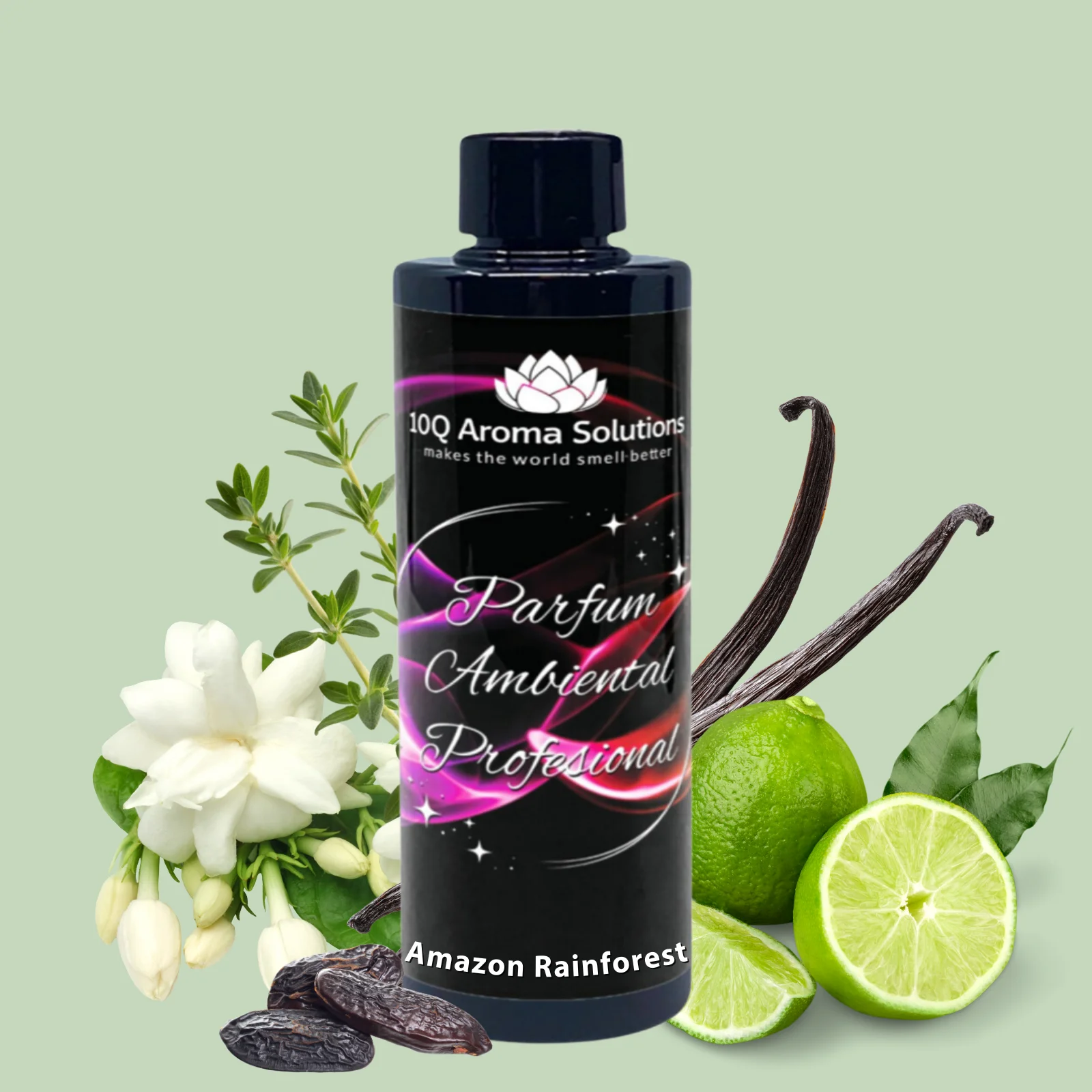 Amazon Rainforest [1]