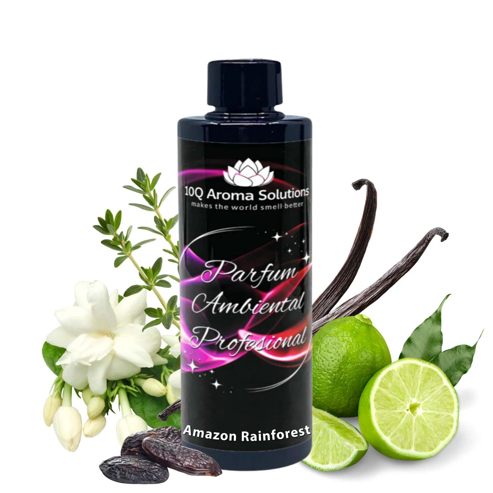 Amazon Rainforest [0]