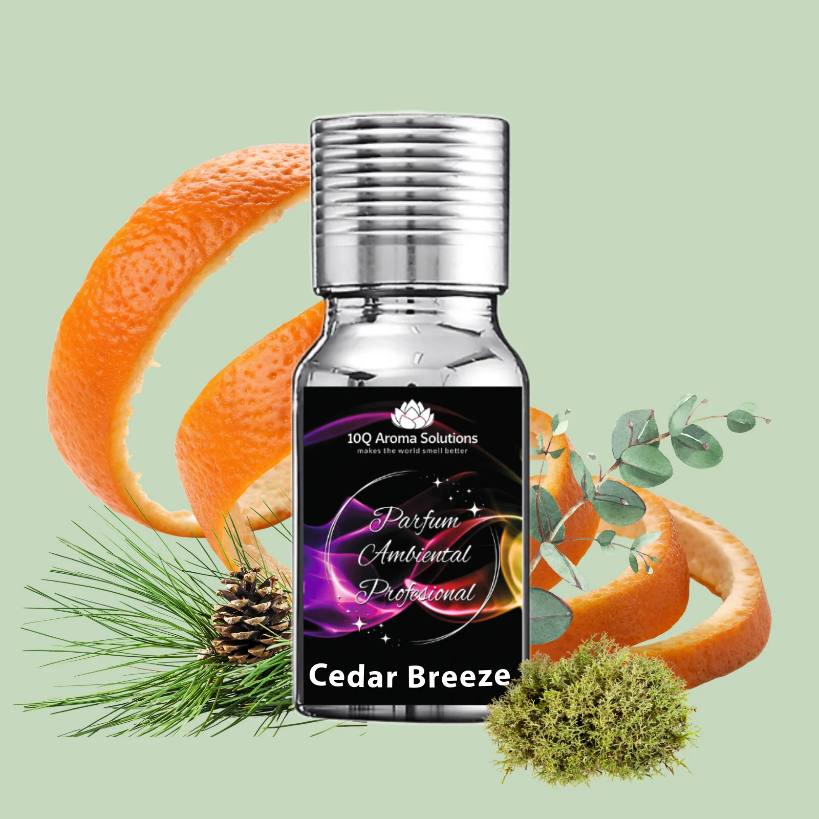 Cedar Breeze [1]