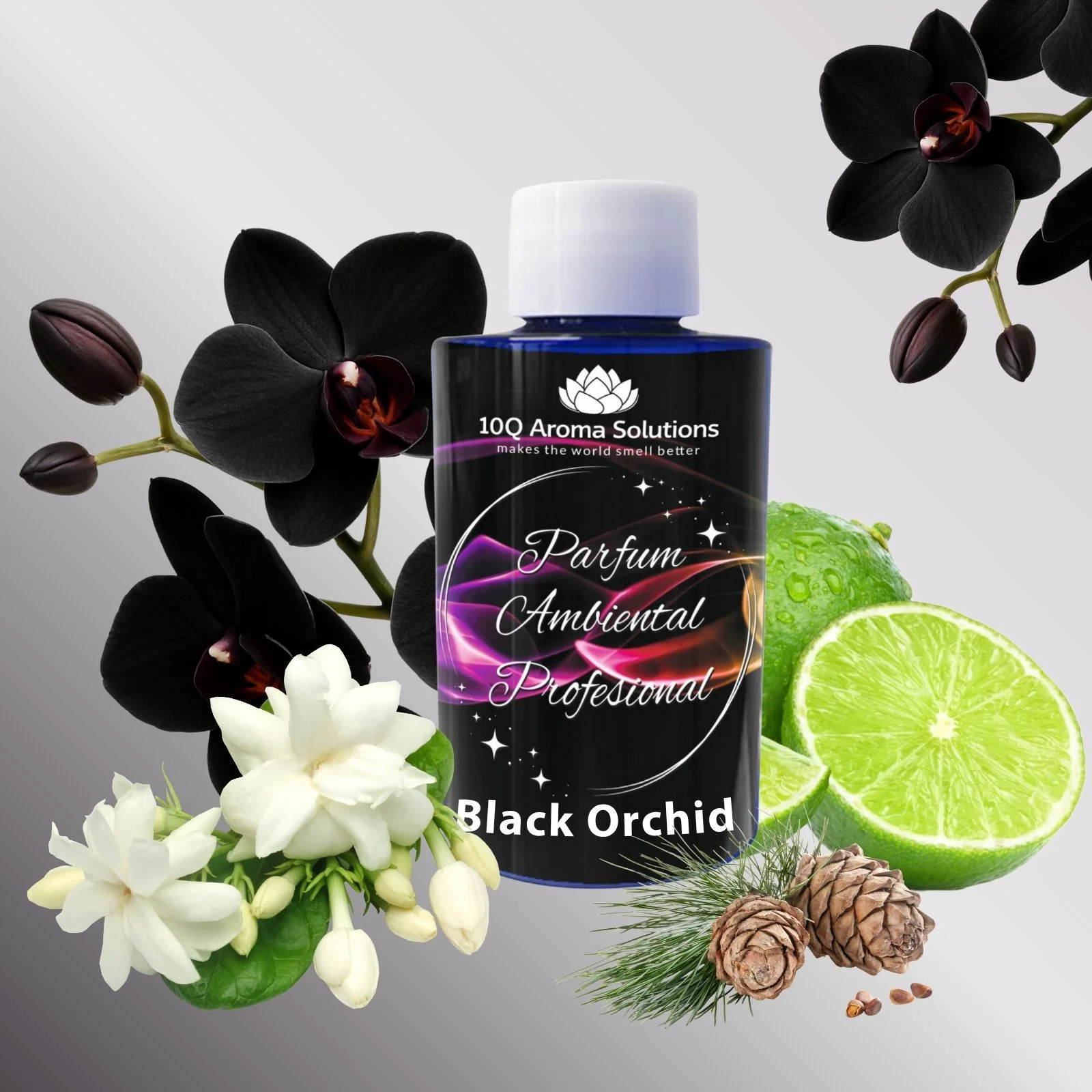 Aparat Parfumare Profesionala Ambientala 10Q AromaLux Future400 + Rezerva [2]