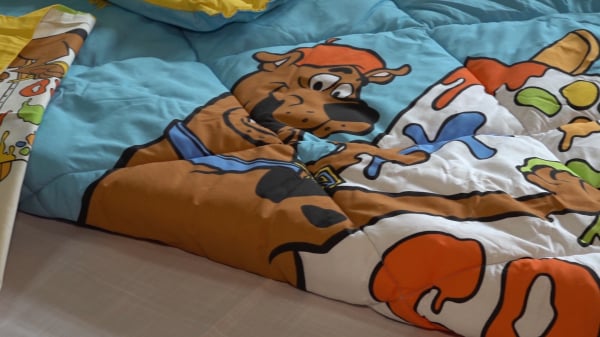 Pilota Scooby Doo (iarna) cu fata de perna [10]
