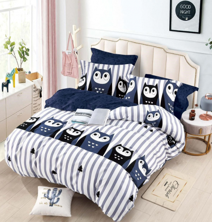 Lenjerii pat Finet 6 pc - Lenjerie de pat dublu, FINET 6 piese (FJ 24) Bufnite, 245 x 250 cm, Jojo