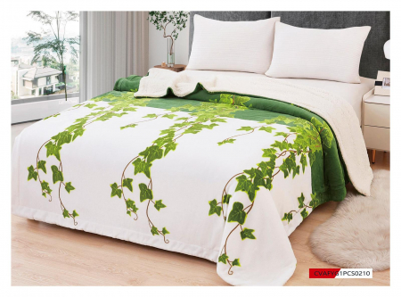 Patura Cocolino cu Blanita - Patura cu Blanita (PB 124), pentru pat 2 persoane, 200x230 cm
