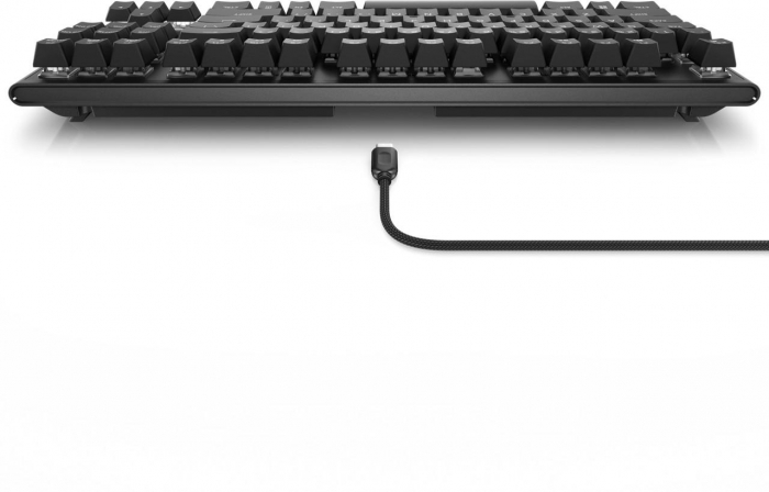 DL AW Tenkeyless Gaming Keyboard AW420K [7]