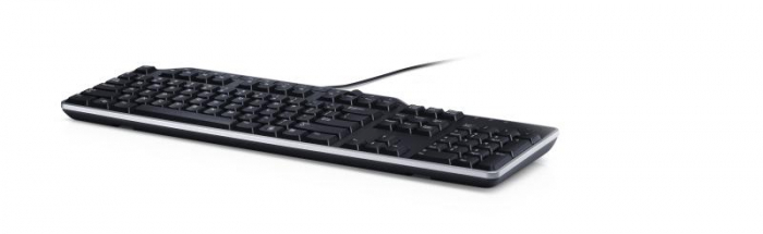 DL TASTATURA KB522 WIRED BUSINESS MULTIM [11]