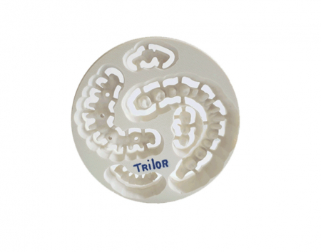 Disc Trilor - Disc Trilor 98x20 mm