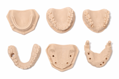 Auxiliare - Model De Studiu Cu Bonturi Sectionate