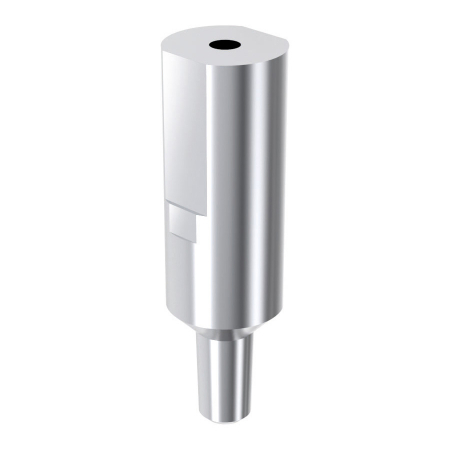 Protetica Implant ARUM - Scanbody intern ARUM