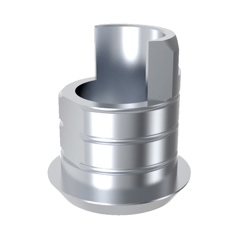 Bază de titan internă tip scurt cu hex WP 5.0