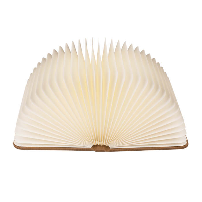 Carte cu lumina LED [4]