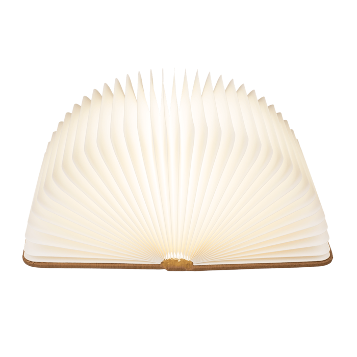 Carte cu lumina LED [2]