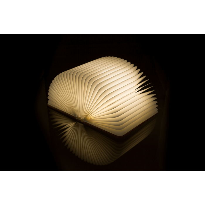 Carte cu lumina LED [3]