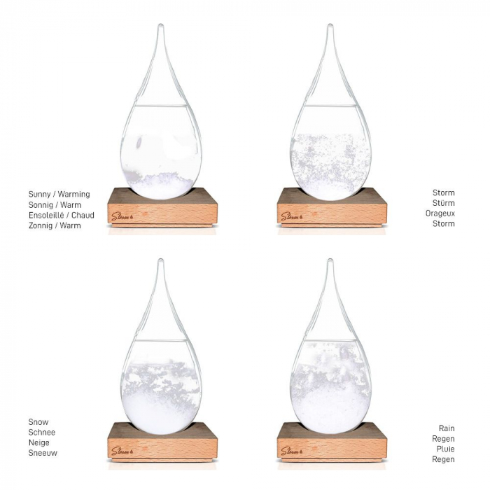 Storm Glass "Picătura Vremii" – Barometrul Poetic Inspirat de Darwin [2]