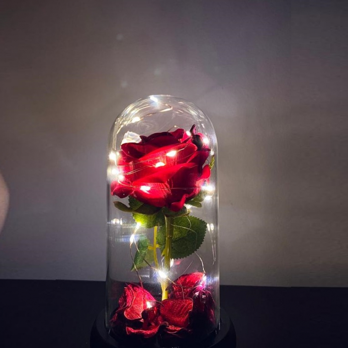 Trandafir rose amour