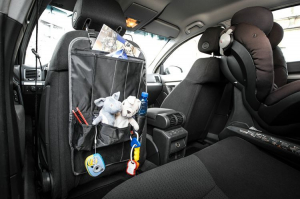 Organizator pentru scaunul auto [1]