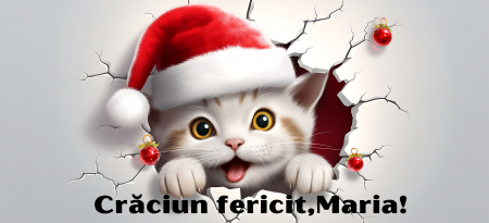 Cana personalizata - Craciun Fericit  - Pisicuta [1]