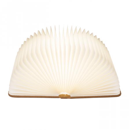 Carte cu lumina LED [1]