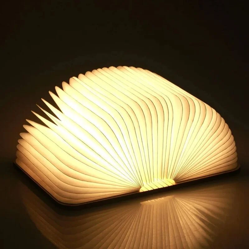Cadouri pentru copii - Carte cu lumina LED