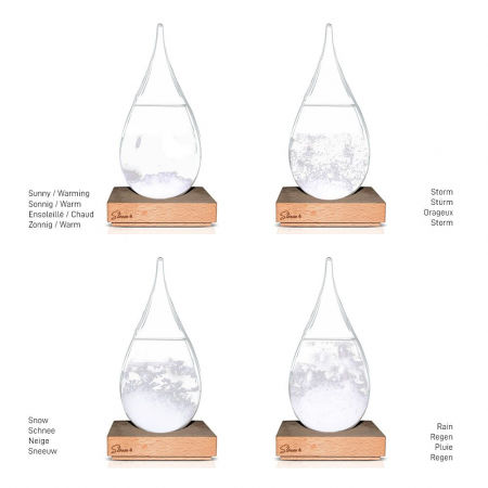 Storm Glass "Picătura Vremii" – Barometrul Poetic Inspirat de Darwin [1]