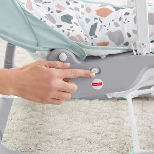 Balansoar Fisher-Price 2 in 1 Infant to Toddler Deluxe [6]