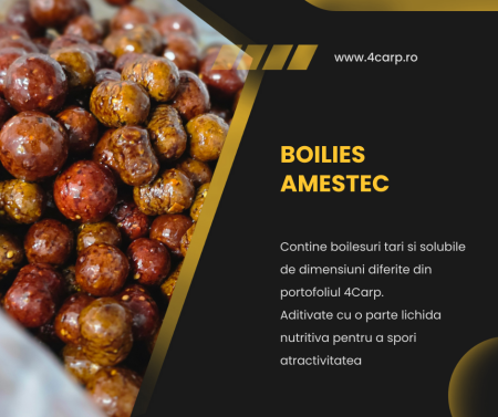 Boilies amestec pentru nadit tari si solubile aditivat [1]