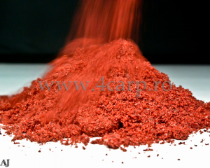 Robin Red (original Haith’s) [1]