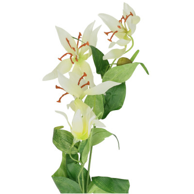 VASE SI DECORATIUNI - Gloriosa 70 cm