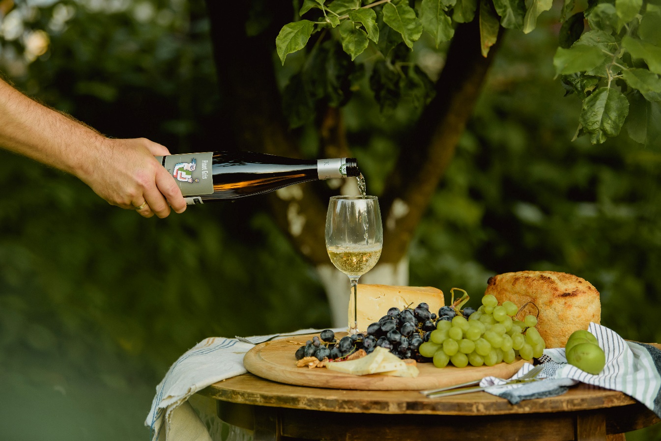 Pinot Gris - repreznetantul inaltei burghezii al vinurilor alsaciene.