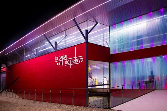 Sticla Vin Alb Organic Ole Chardonnay Cepa de Pelayo Maturat in Stejar [3]