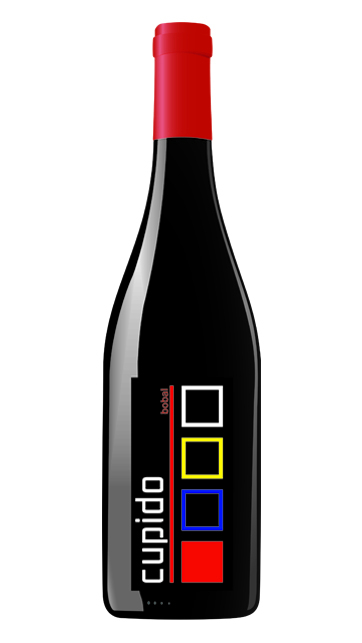 Pachetul Exporator La Cepa de Pelayo - vinuri organice din Spania [4]