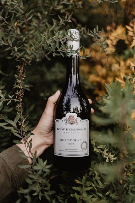 Vin alb sec, Ungaria, Tokaj, Grof Degenfeld Muscat Blanc 0,75L [2]
