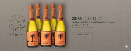 Bijuterii handmade - Cremant d'Alsace 6 Pack
