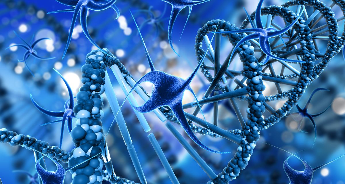 Efectele antiaging ale Quercetinei: antioxidantul natural care sustine sanatatea si longevitatea