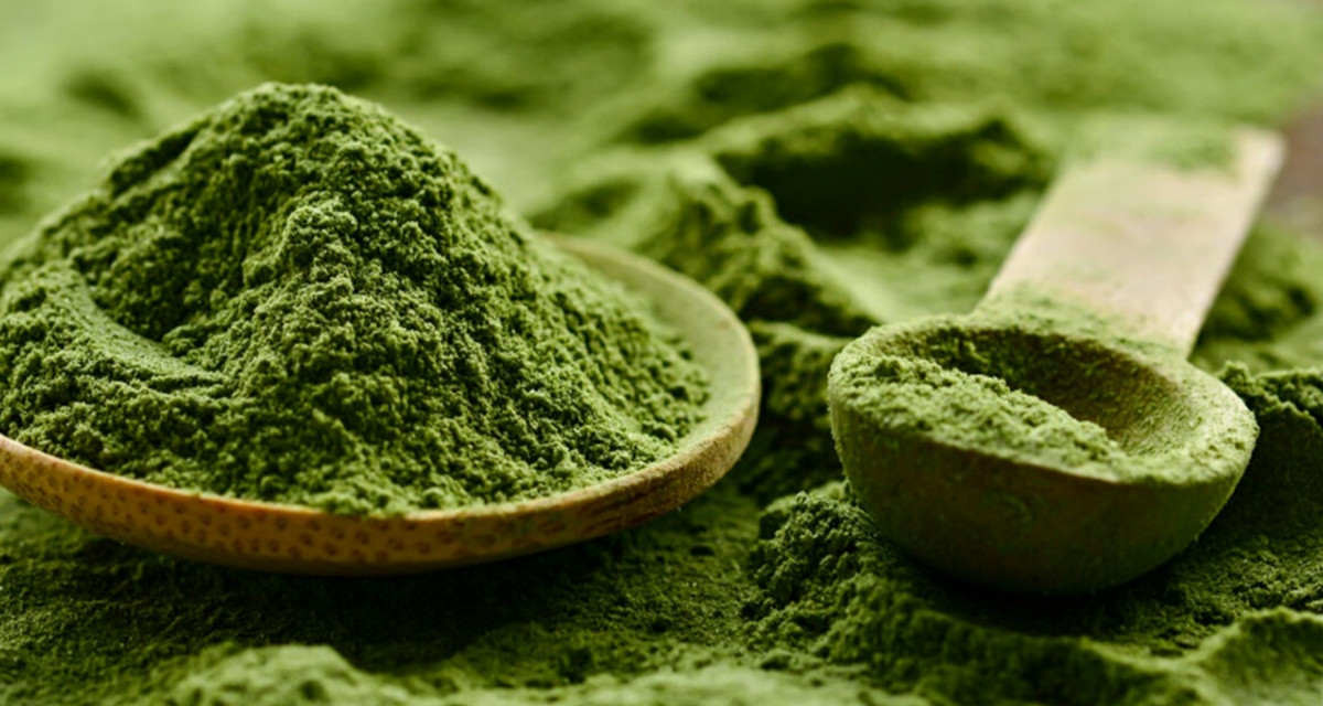 Chlorella - planta miraculoasă a nutriției