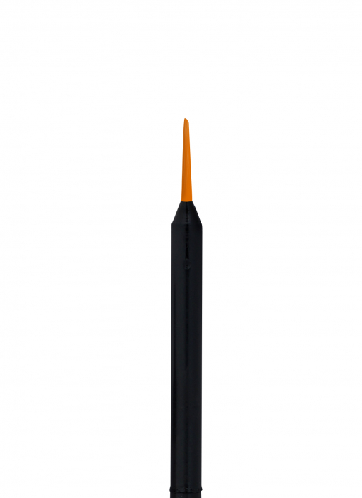 Eyeliner BIO Negru inalta precizie, varf pensula, cu aloe vera si extract magnolie Charlotte Bio [5]