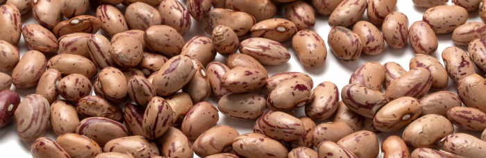Fasole BIO Borlotti Alliance Bio [3]