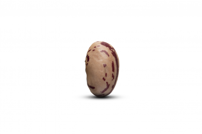 Fasole BIO Borlotti Alliance Bio [4]
