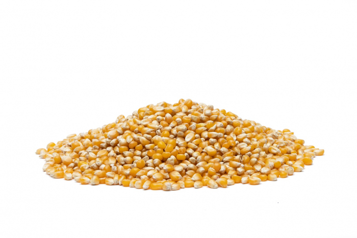 Porumb BIO pentru popcorn Alliance Bio [5]