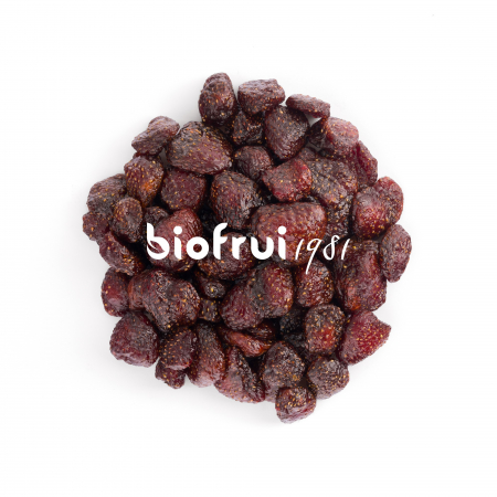 Capsuni Senga BIO fara zahar, din Alpii Dinarici Biofrui 1981 [1]